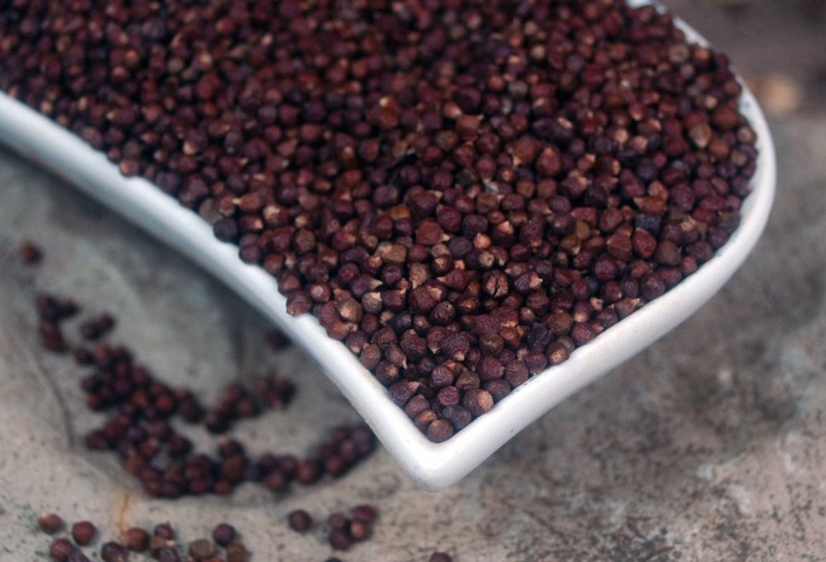 Paradise Grains - 100 Gram Pure Zaden