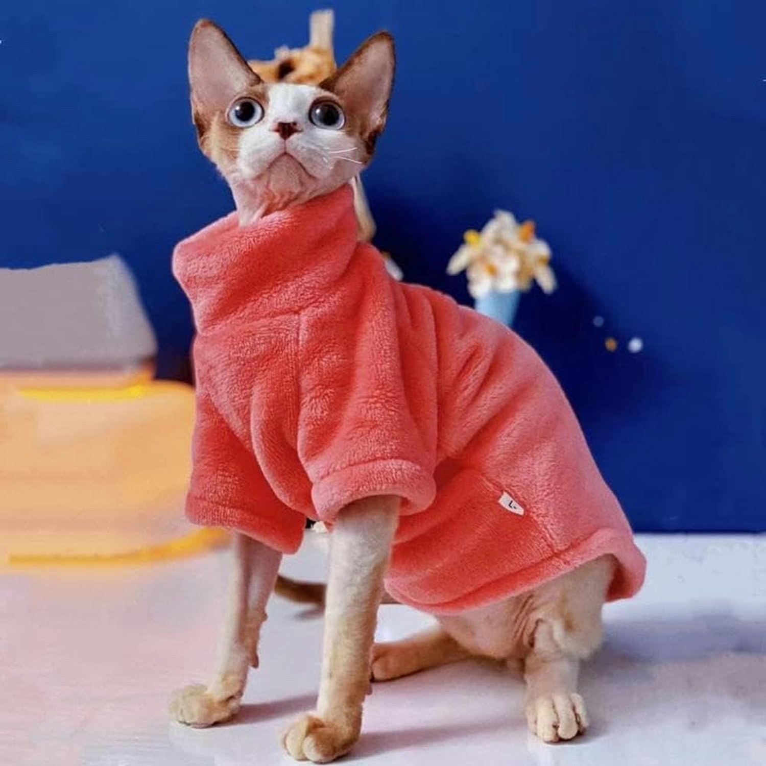 Winter Kattenkleding Voor Sphinx Warme Hoodies Huisdieren Verdikte Jas Kittens Kostuums Chihuahua Herfst Dubbelzijdige Plus Fluwelen-S