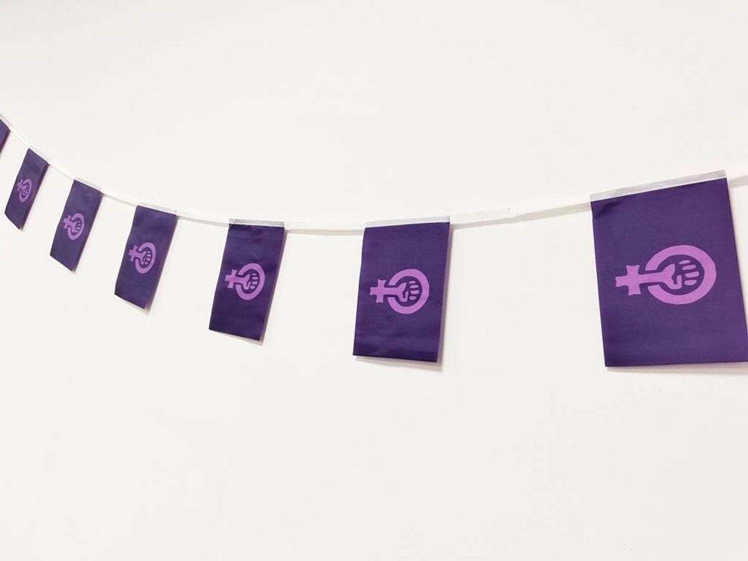 Feministische vlag 40 stuks feministische vlag feministische slinger 11,4 m feministische vlaggen nationale vlag Europese vlag 14 x 21 cm voor bar decoraties