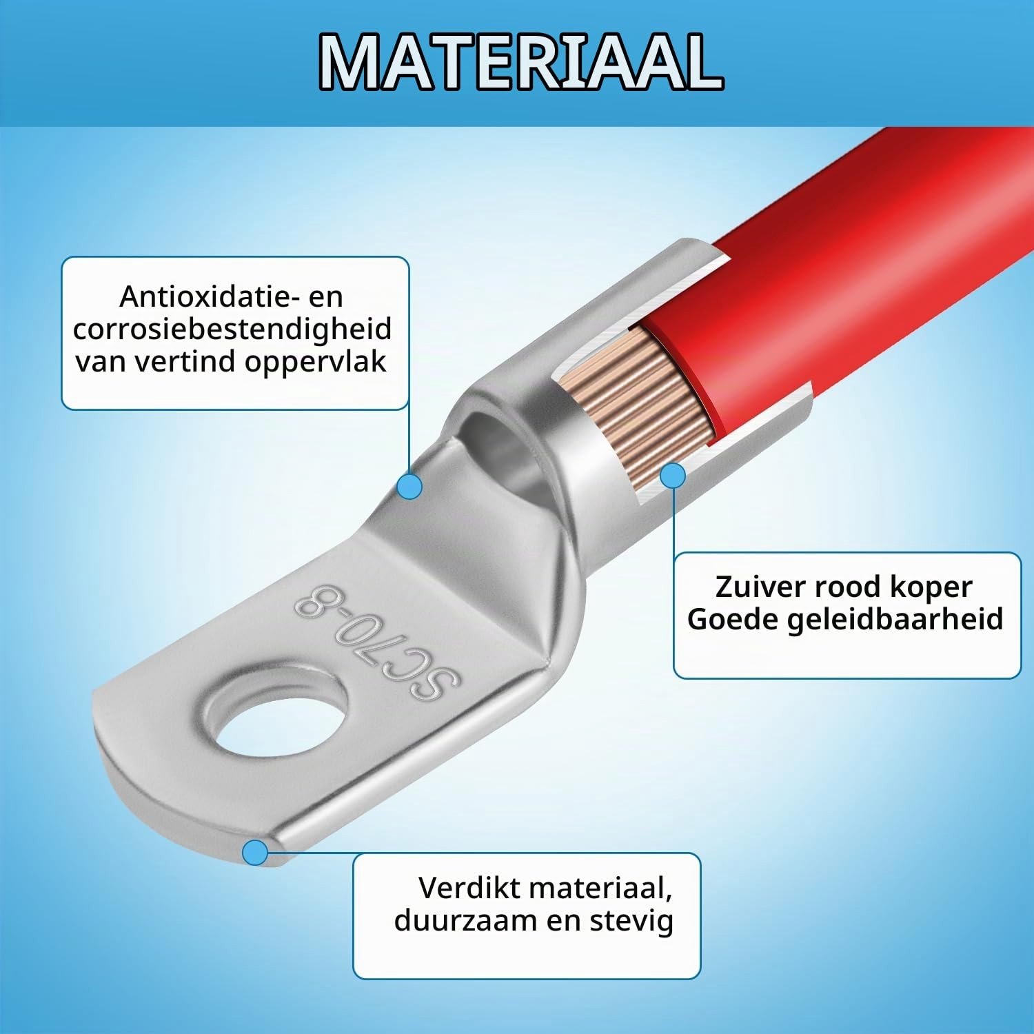 Dikke Koperen Ringkabelschoenen 6 mm², M6, Niet-Geïsoleerd, Set van 20 voor Betrouwbare Verbindingen