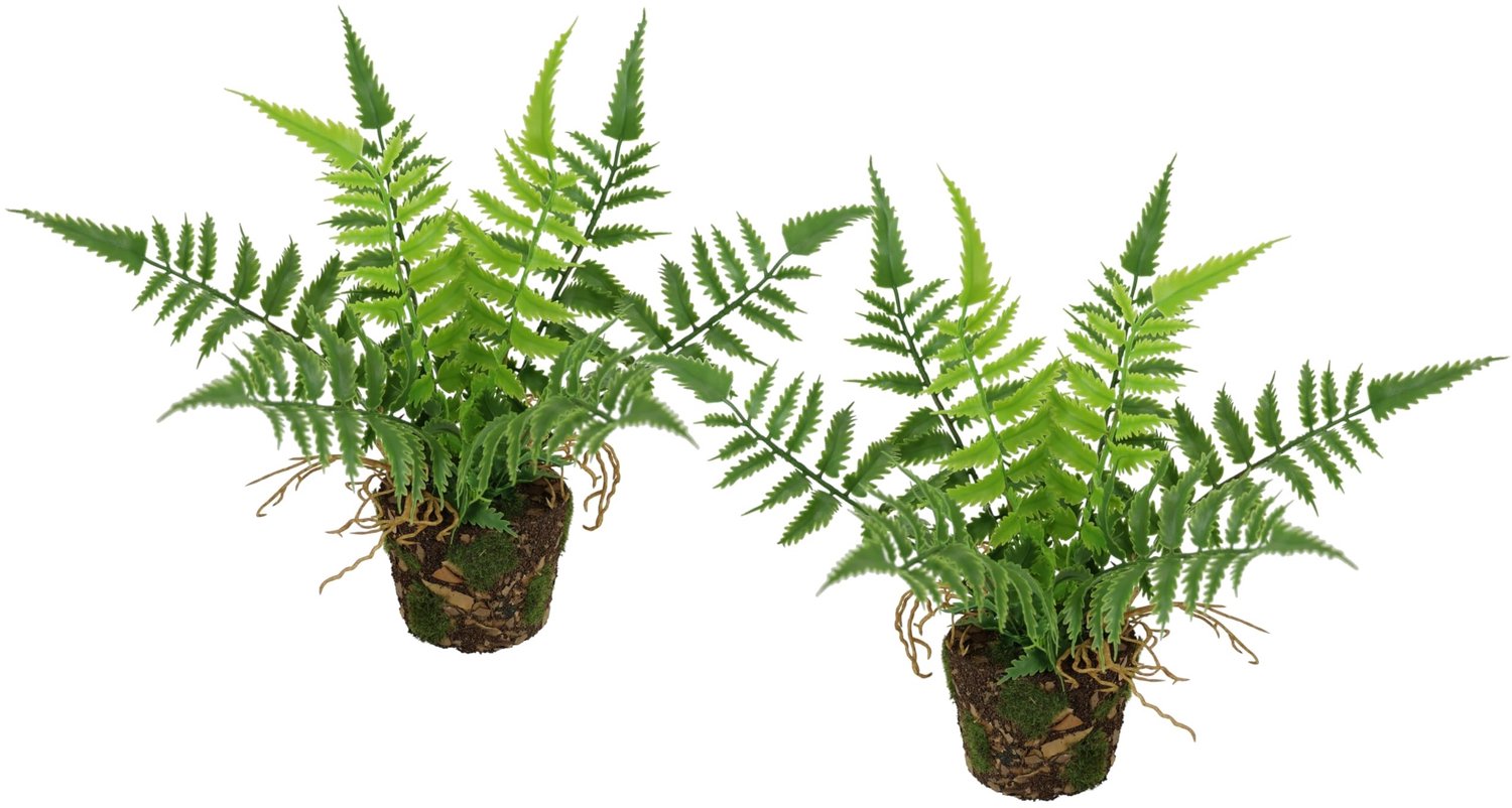 Kunstplant Boston Fern in Pot - Set van 2, 23 cm