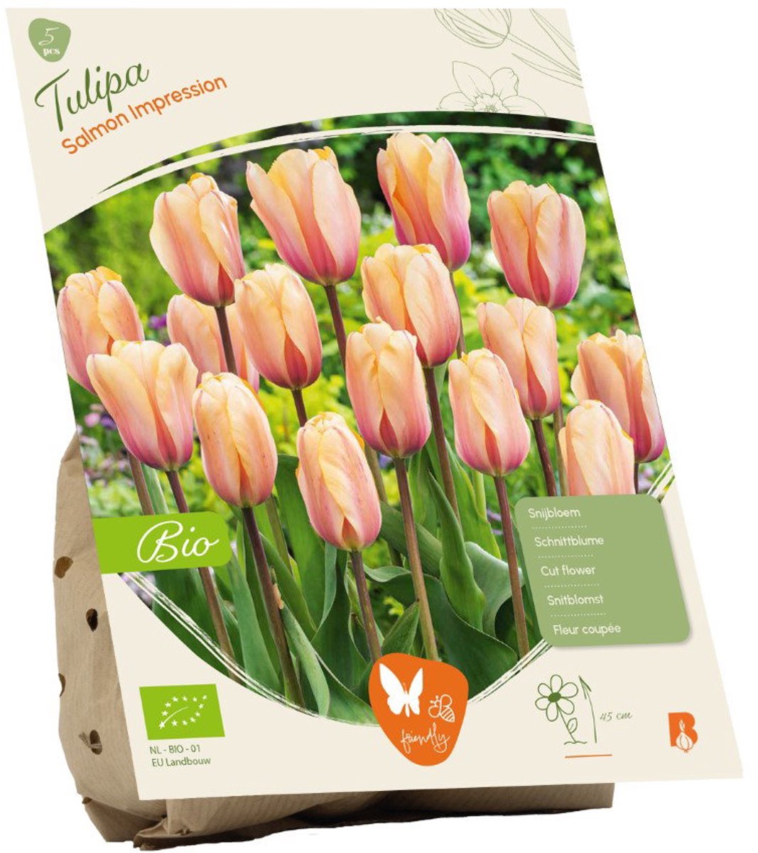 BIO Tulipa Salmon Impression 5 stuks bloembollen Baltus