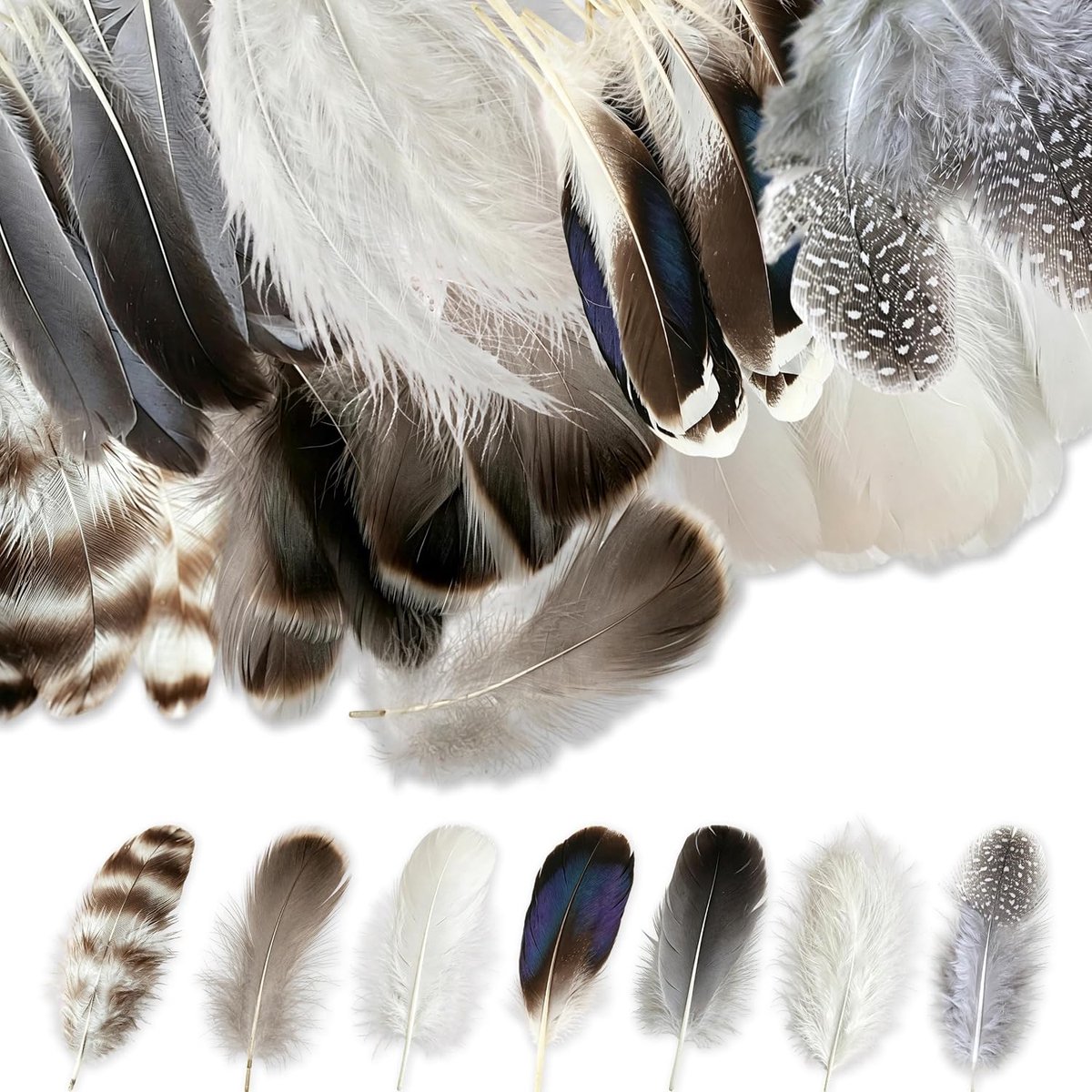 Veren Om Te Knutselen, Bruine en Witte Knutselveren in 7 Stijlen, Veren Voor Dromenvanger Hoeden Maskers Pasen Carnaval en Halloween Decoratie