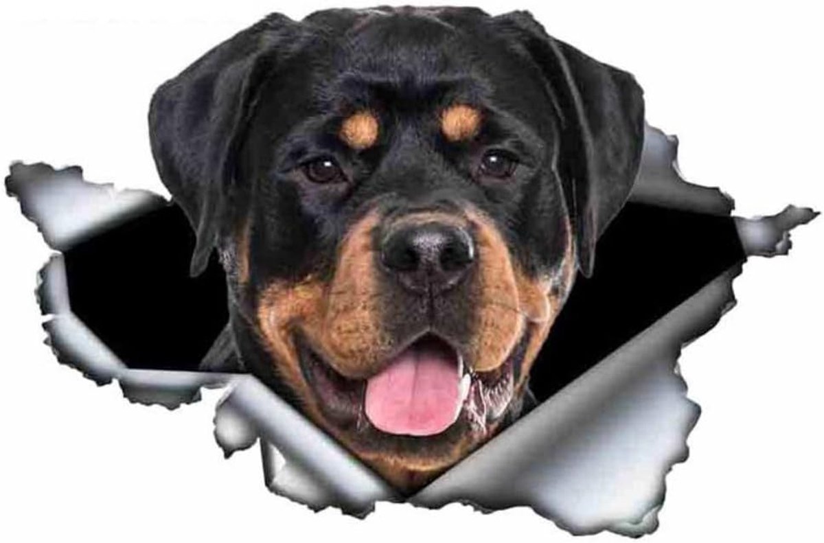 Stickers, 3D-doorbraak-effect, waterdicht, reflecterend, grappige sticker voor laptop, koelkast, auto, bumper, raam (15 cm)