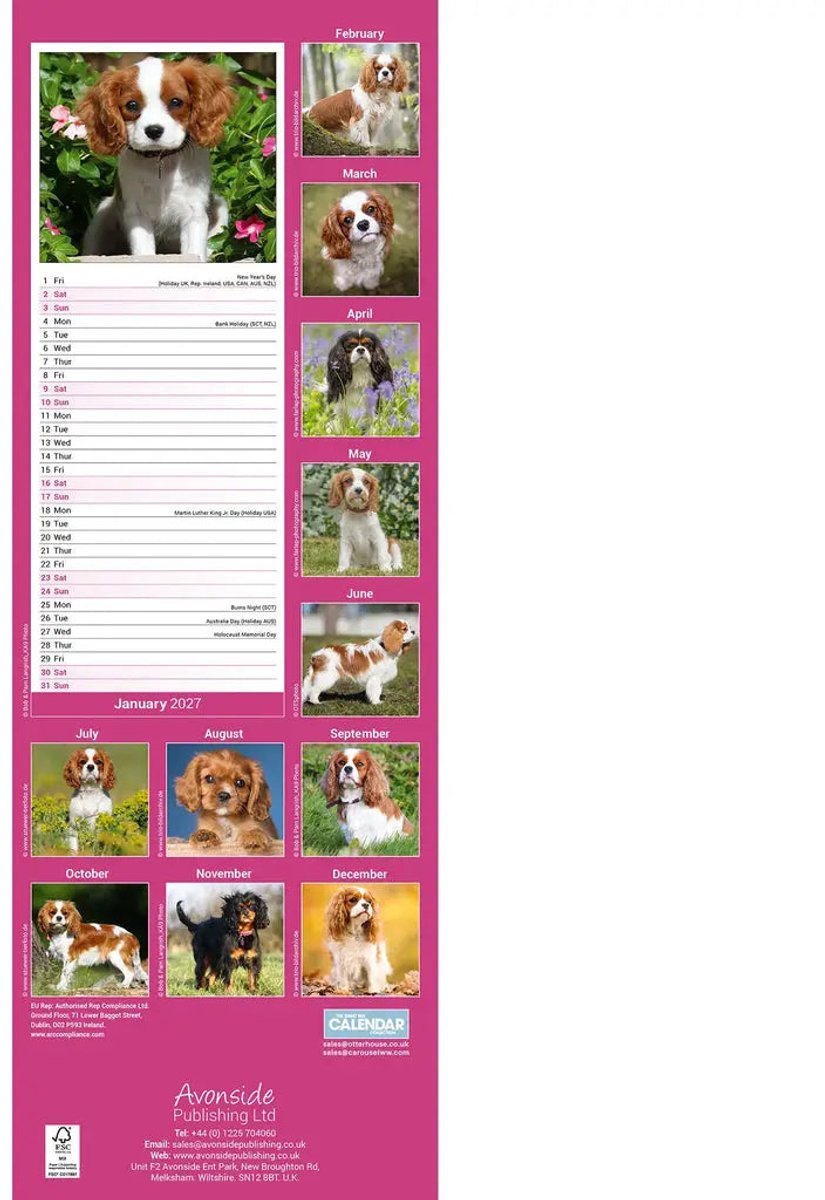 Cavalier King Charles Slimline Kalender 2027