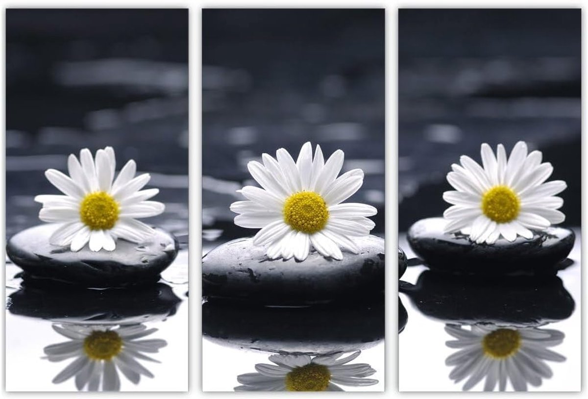 AREDE Set of 3 Wall Art Painting Picture Poster Zen Stones and Daisies (90X60cm) Home Office Wall Decoration Living - ShopVlot