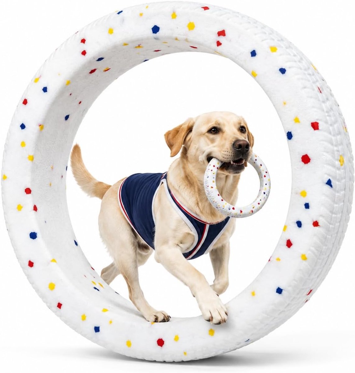 Robuust hondenspeelgoed, kauwring voor honden, hondenschijven om te gooien en te vangen, drijvende trainingsring voor honden