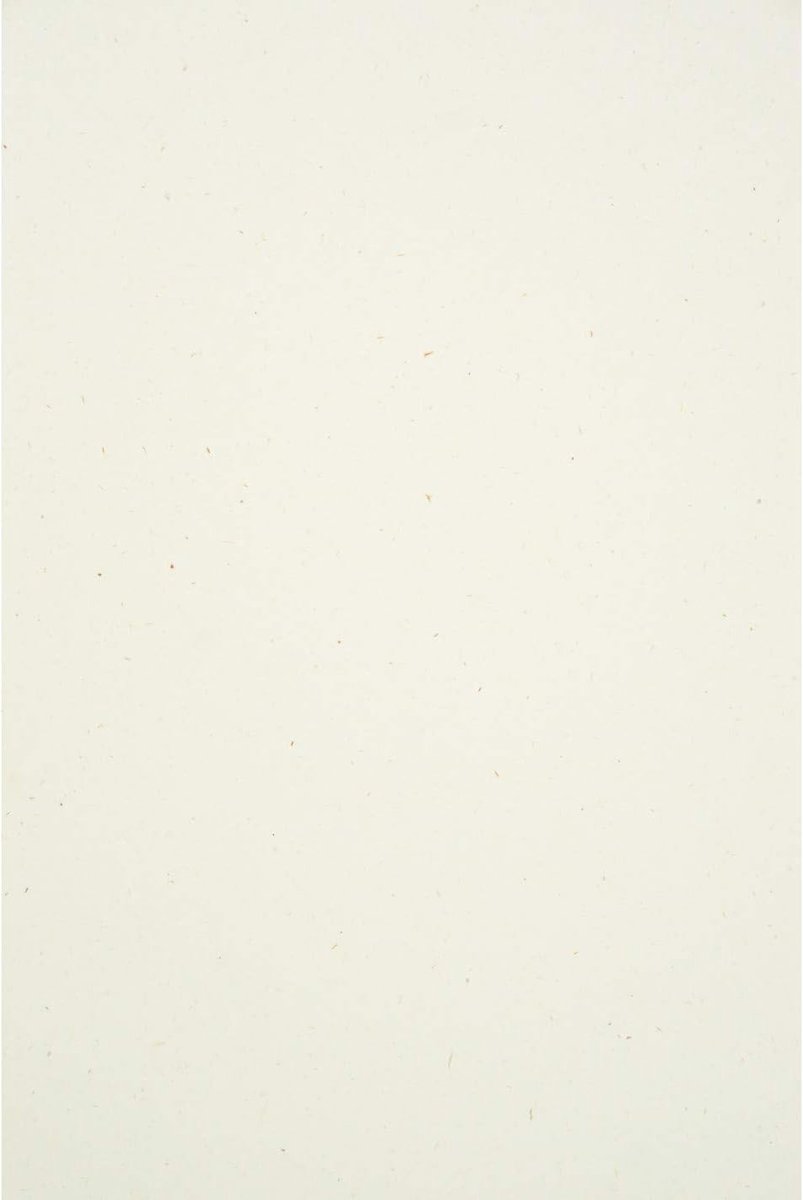 Ecru 50x natuurlijk papier DIN A4 21x29.7cm 130g Flora Anice gerecycled eco-vriendelijk creatief knutselpapier voor uitnodigingen, DIY-projecten en decoratie