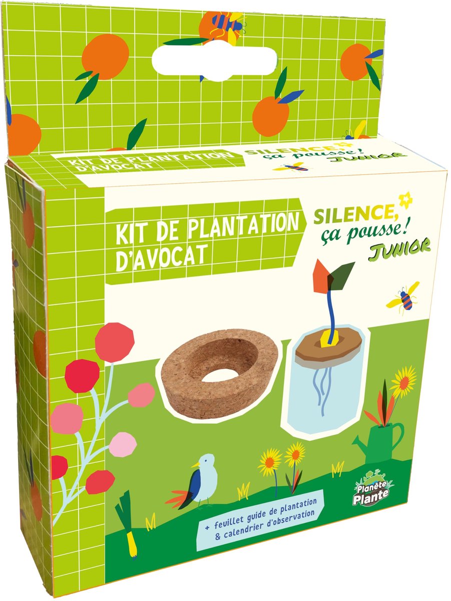 PLANETE PLANTE - Avocado Planting Kit - Silence Ça Pousse - 170076SP - Luik - Tuin - Natuur - Plant - Creatief - ShopVlot