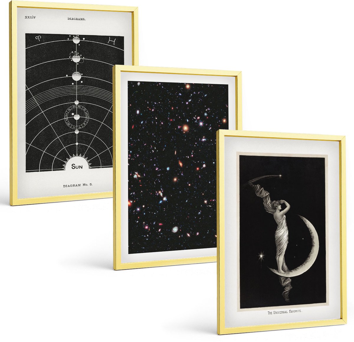 Coloray 3-Delige Schilderij Set - Kruiden En Planten Drogen Voor In De Keuken - 40 x 40 cm En 40 x 60 cm - Decoratieve Schilderijen - Wanddecoratie - Hal - Moderne Wanddecoratie