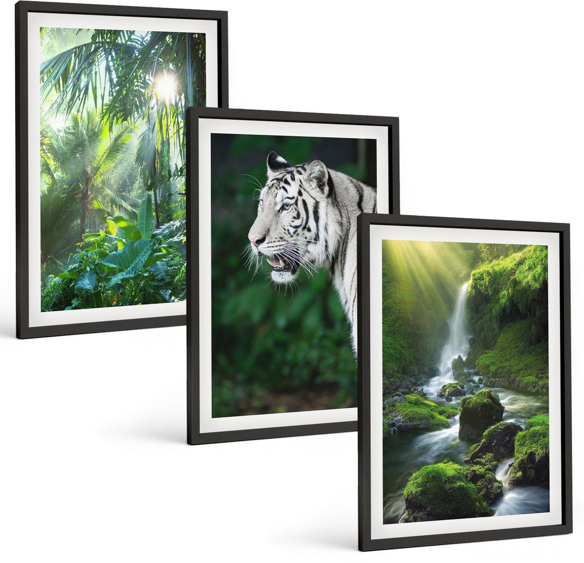 Coloray 3-Delige Schilderij Set - Jungle Met Een Witte Tijger En Een Wilde Waterval - 40 x 60 cm - Muurdecoratie - Interieur Decoratie - Wanddecoratie