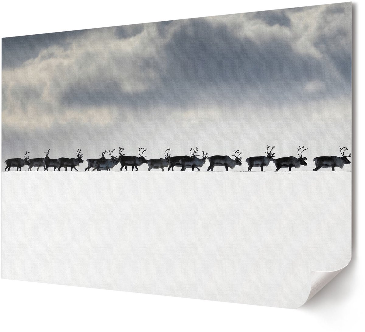 Coloray Polycanvas Wandposter - Retro Koffie, Illustratie - A4 - Oranje Design - Rechthoek - Interieurdecoratie - Woonkamer, Slaapkamer, Kantoor - Retro