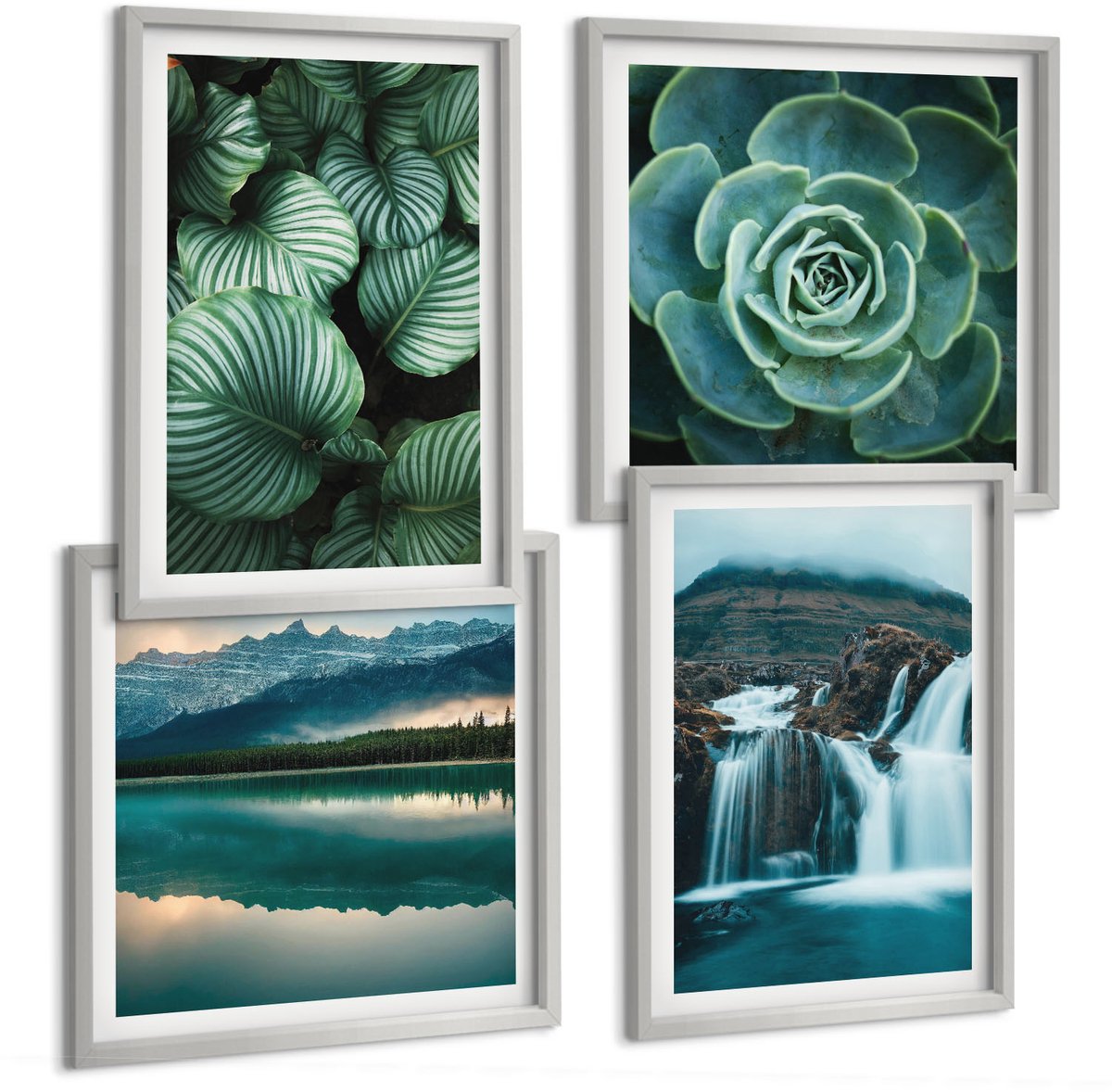 Coloray 4-Delige Schilderij Set - Close-Ups Van Planten, Bladeren En Vetplanten - 40 x 40 cm En 40 x 60 cm - Wanddecoratie - Moderne Interieurdecoratie - Decoratieve Schilderijen