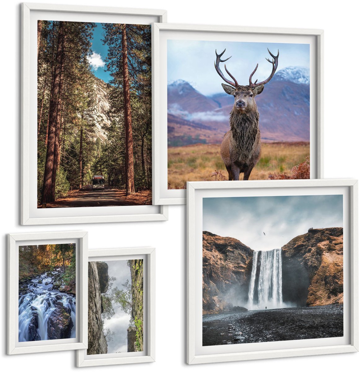 Coloray 5-Delige Schilderij Set - Natuurlandschappen Met Watervallen En Wilde Dieren - 50 x 50 cm, 20 x 30 cm En 40 x 60 cm - Moderne Wanddecoratie - Woonkamer - Decoratieve Schilderijen