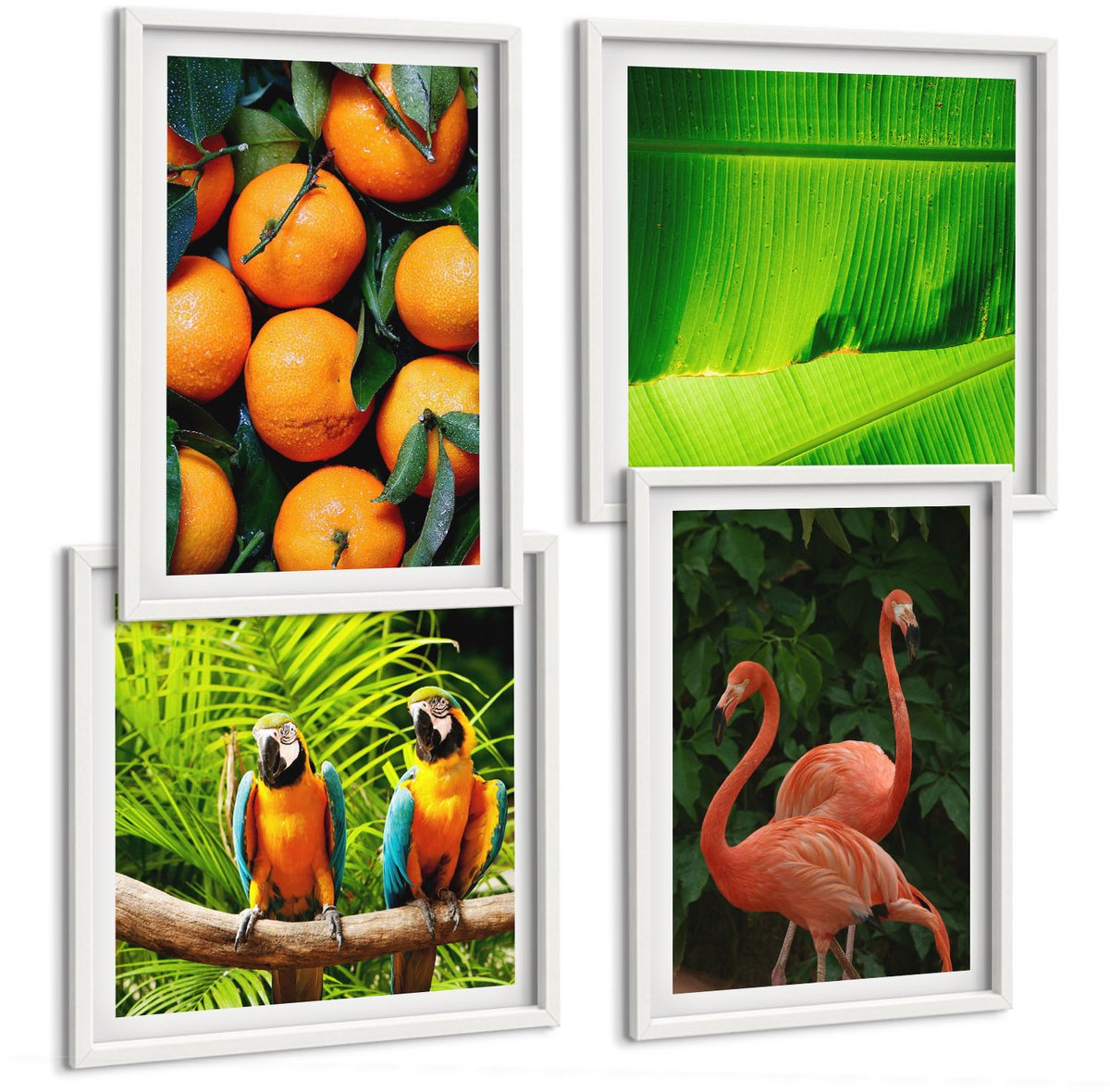 Coloray 4-Delige Schilderij Set - Fruitige Accenten Met Papegaaien En Flamingo'S In De Tropen - 40 x 40 En 40 x 60 - Muurdecoratie - Wanddecoratie - Slaapkamer