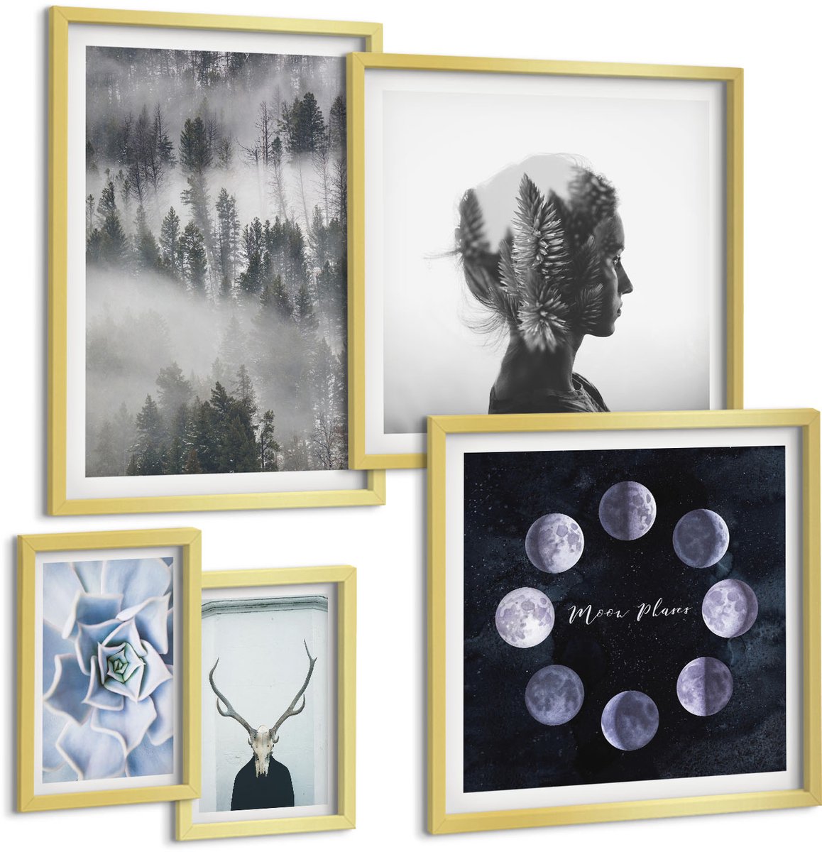 Coloray 5-Delige Schilderij Set - Natuurlijke Bosmotieven En Kosmische Verschijnselen - 50 x 50 cm, 20 x 30 cm En 40 x 60 cm - Wanddecoratie - Moderne Interieurdecoratie - Interieur Decoratie