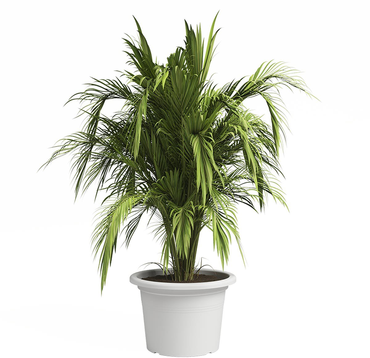 artevasi Venezia Cilindro plantenbak wit Ø 45 cm - kunststof