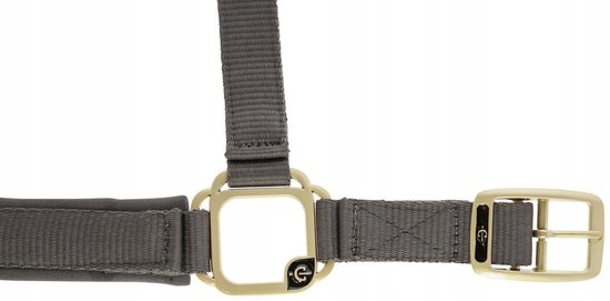 Covalliero Shetty Kantara met Gouden Gespen