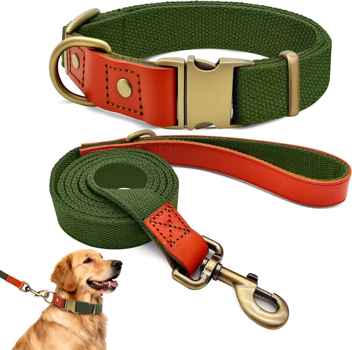Set met halsband en riem XL 43–67 cm, leer met nylon (legergroen)
