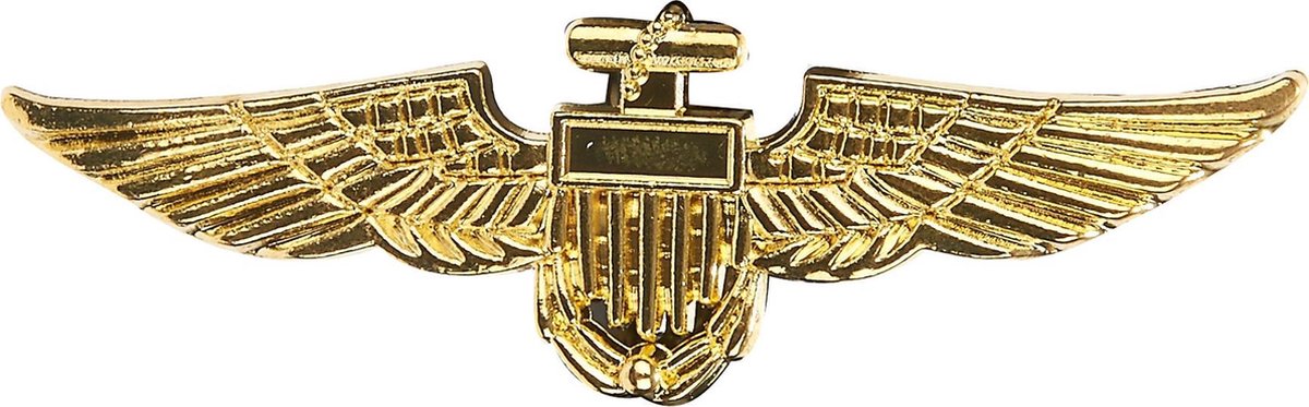 Gouden broche vliegenier