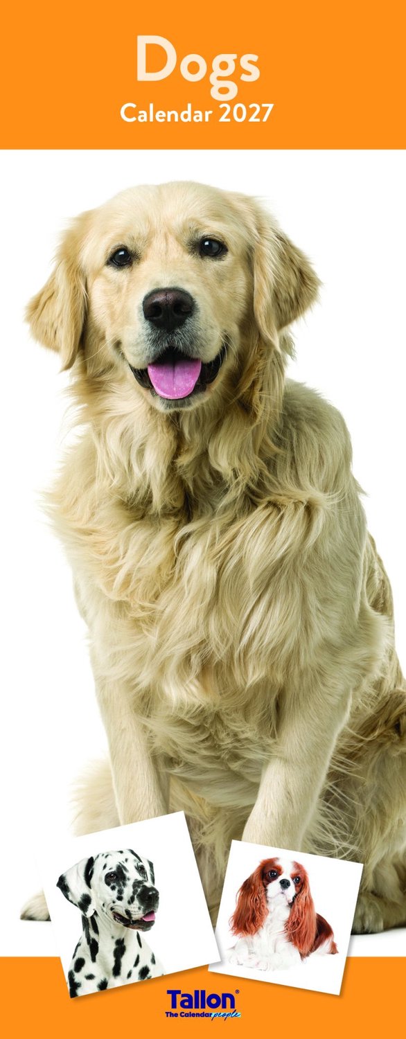 Dogs and Puppies Kalender 2027 Slimline