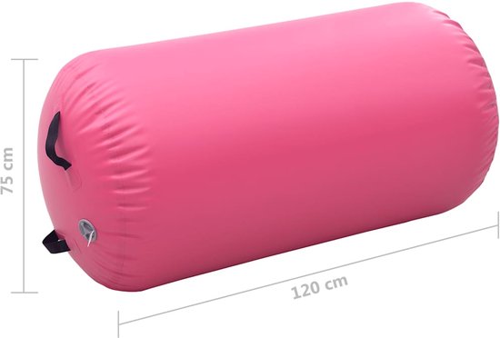 vidaXL - Gymnastiekrol - met - pomp - opblaasbaar - 120x75 - cm - PVC - roze van Merkloos — afbeelding 2