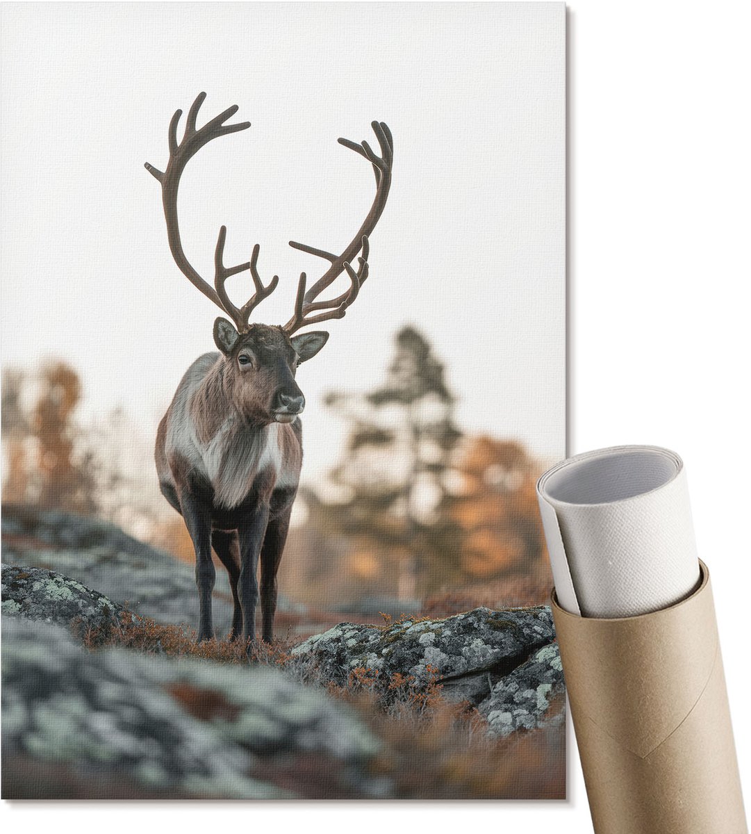 Coloray Polycanvas Wandposter - Herten Natuur, Fotografie - A4 - Bruin Motief - Rechthoek - Muurkunst - Woonkamer, Slaapkamer, Kantoor - Klassiek