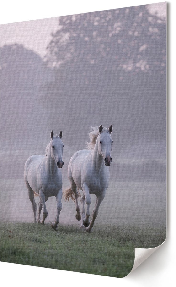 Coloray Polycanvas Wandposter - Futuristisch Portret, Fotografie - A2 - Beige Motief - Rechthoek - Canvasposter - Woonkamer, Slaapkamer, Kantoor - Modern