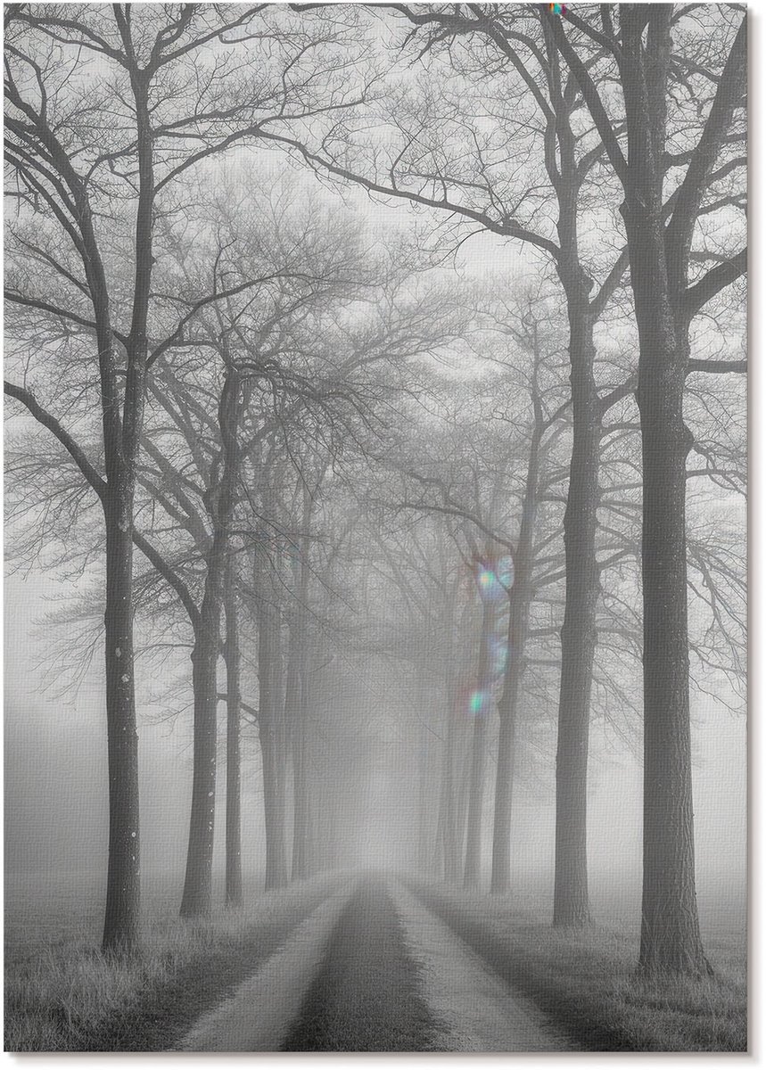 Tulup Polycanvas Poster - Mist Op De Weg, Fotografie - A4 - Zwart-wit Wandposter - Rechthoek - Decoratieve poster - Woonkamer, Slaapkamer, Kantoor - Klassiek