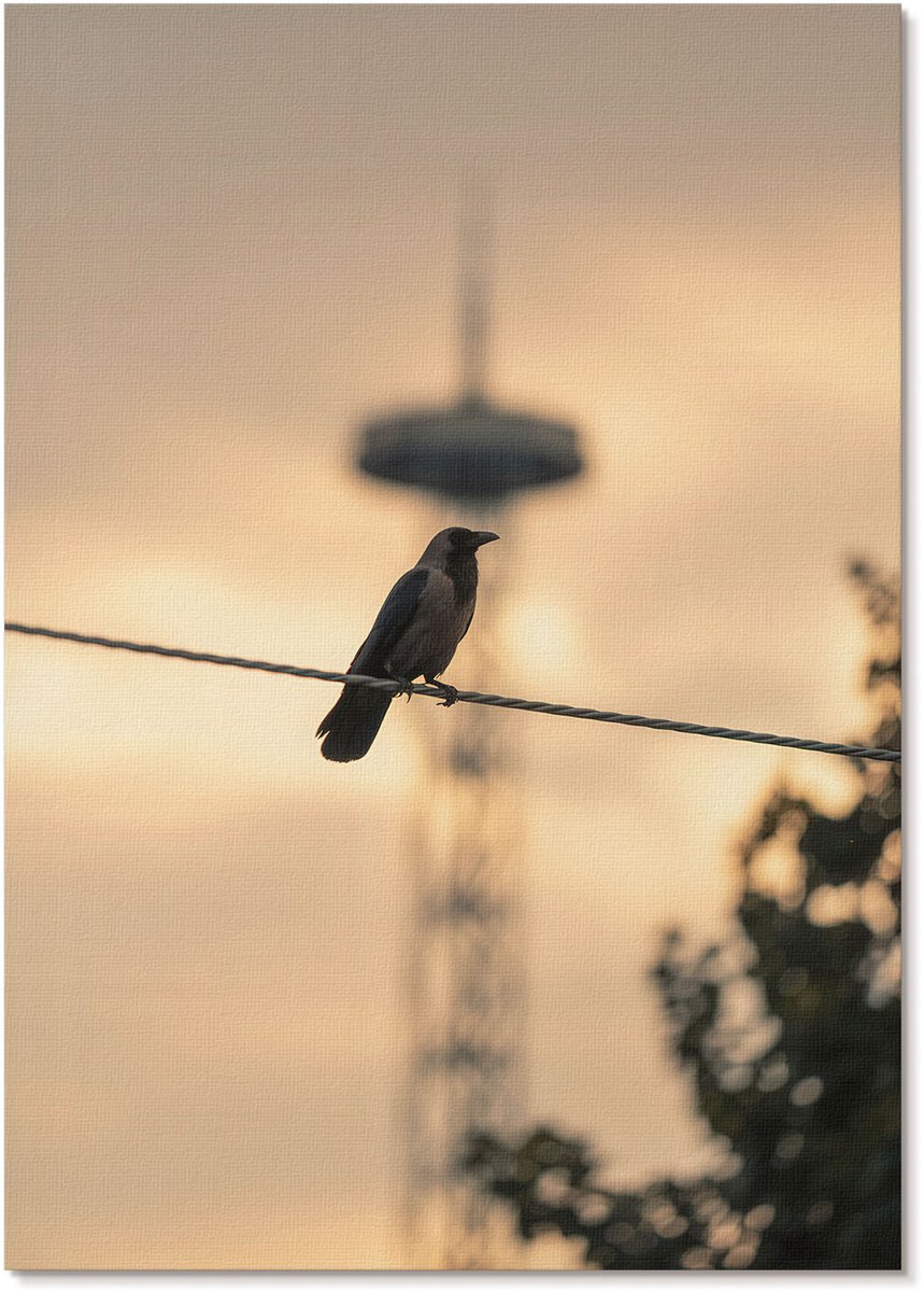 Tulup Canvas Poster Polycanvas - Vogel Op Een Kabel, Fotografie - A4 - Geel Poster - Rechthoek - Wandkunst - Woonkamer, Slaapkamer, Kantoor - Modern