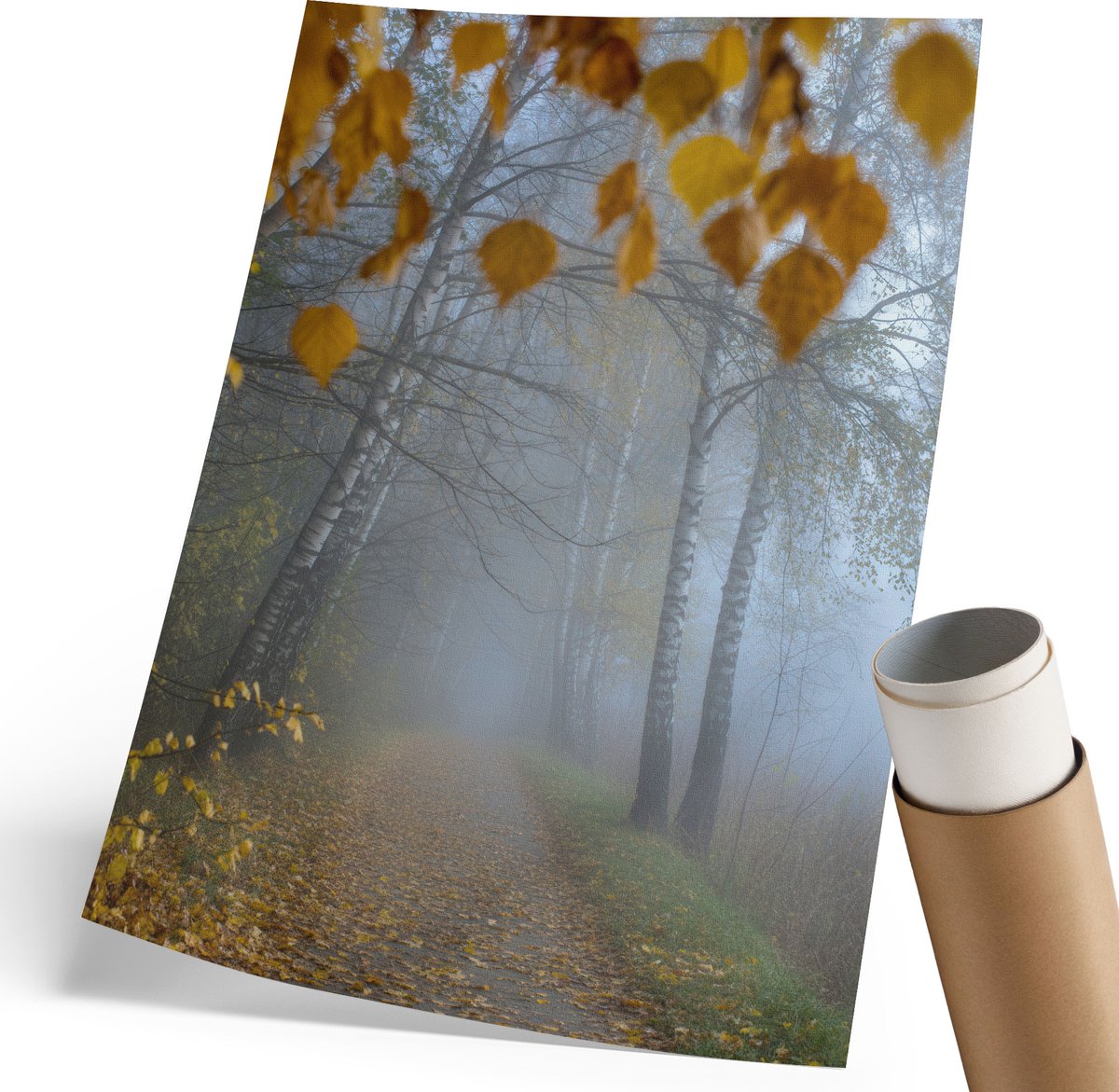 Coloray Polycanvas Wandposter - Herfstbos, Fotografie - 210 x 297 mm - Geel Wanddecoratie - Rechthoek - Wandkunstwerk - Woonkamer, Slaapkamer, Kantoor - Klassiek