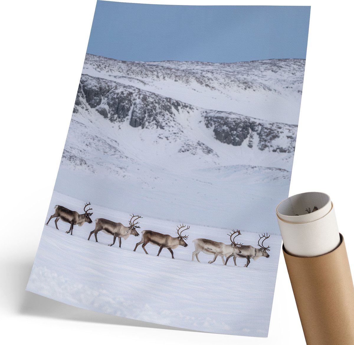 Coloray Polycanvas Wandposter - Rendieren In De Bergen, Fotografie - 210 x 297 mm - Wit Motief - Rechthoek - Canvasposter - Woonkamer, Slaapkamer, Kantoor - Klassiek
