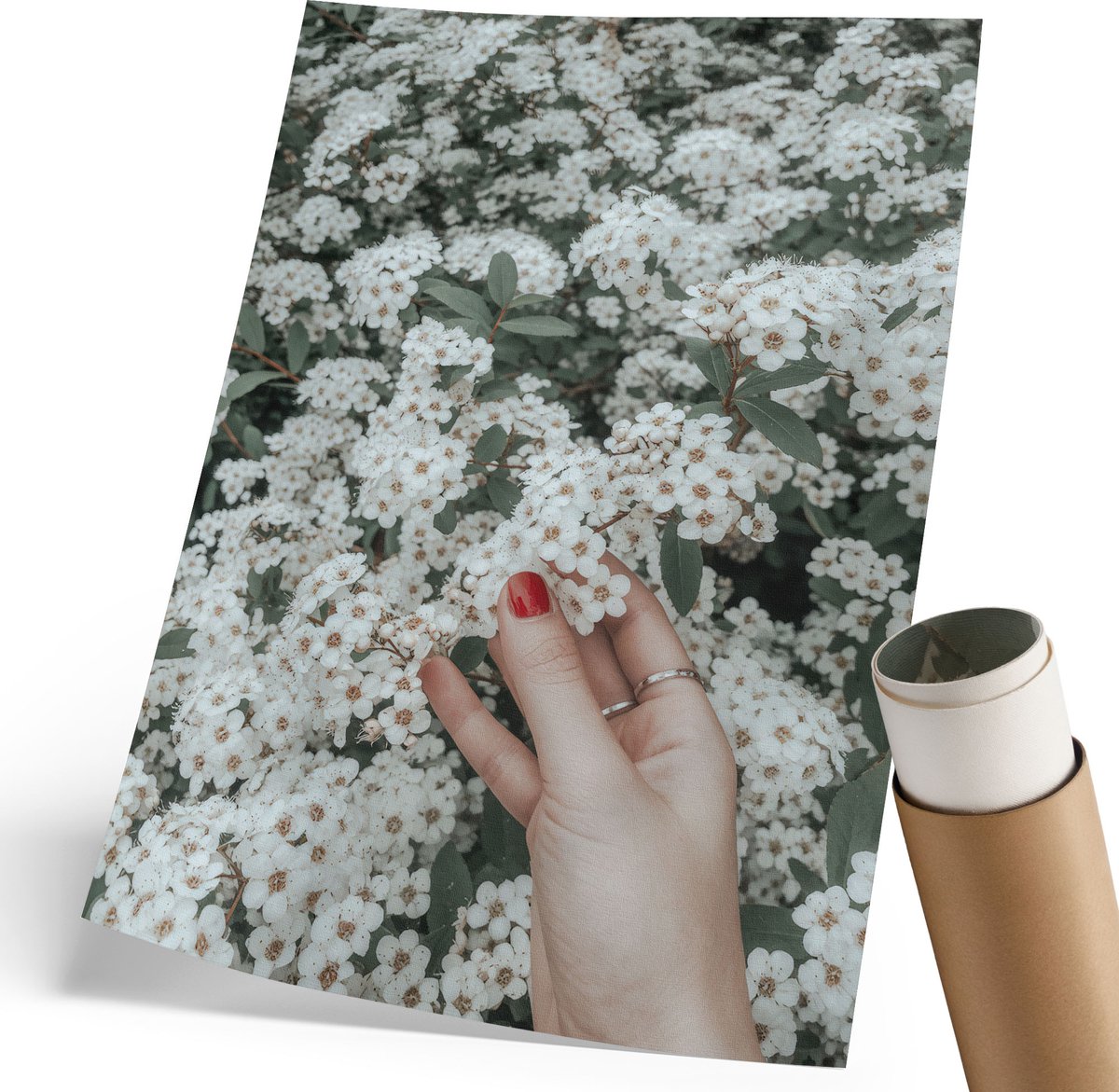 Coloray Polycanvas Wandposter - Bloemen In De Hand, Fotografie - 210 x 297 mm - Wit Decoratie - Rechthoek - Canvasposter - Woonkamer, Slaapkamer, Kantoor - Klassiek