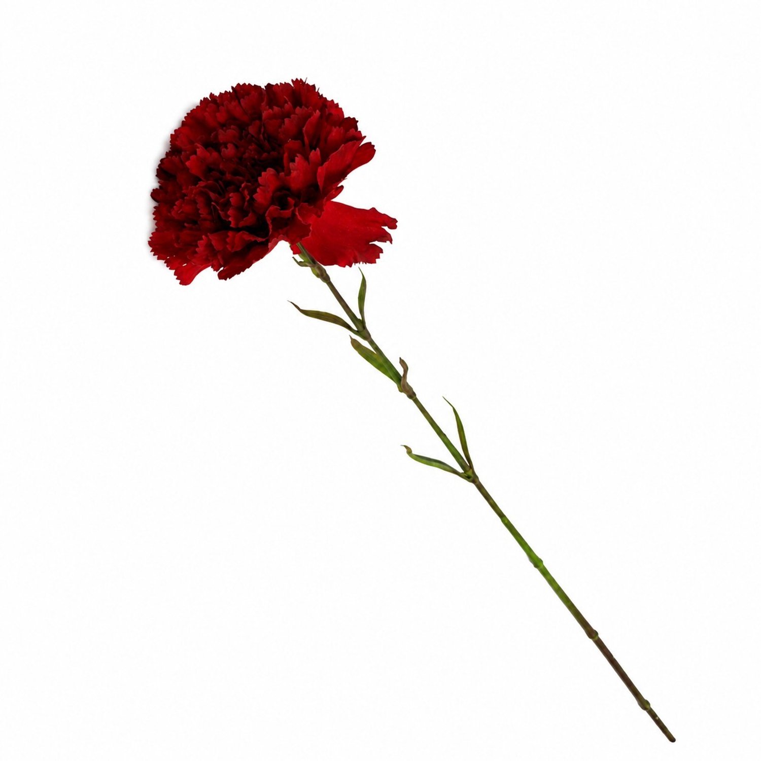 Kunstbloem anjer enkel 55cm rood