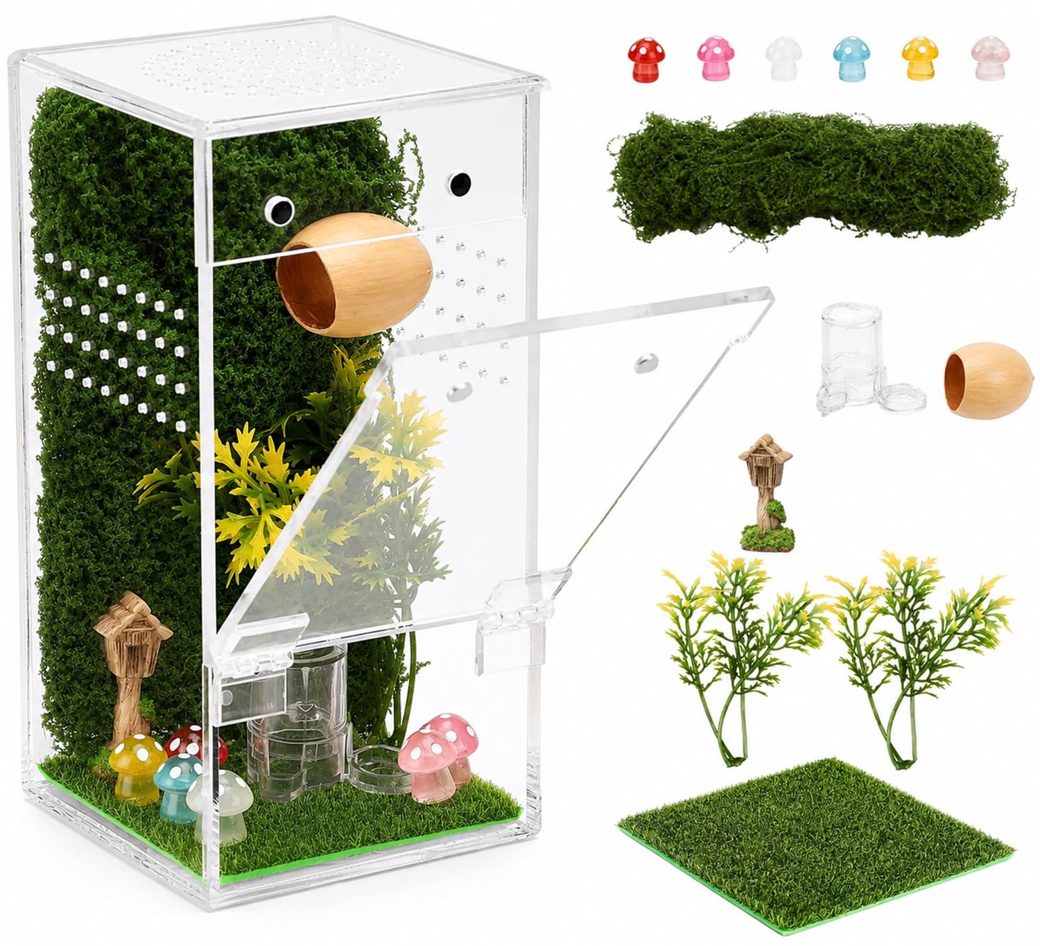 Ontsnappingsvrije Terrarium met Magnetische Deur voor Spinnen