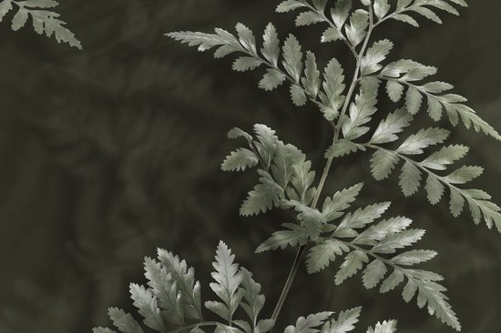 Heckettlane Dekbedovertrek Katoen Satijn Rua - Forest Green - 100% Katoen-Satijn - Dekbedovertrek 260x200/220cm - Lits Jumeaux Extra Breed - Puketi van Merkloos — afbeelding 4