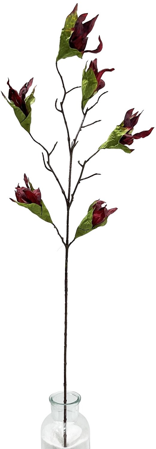 homebound by ky Kunsttak gedroogde Magnolia 89cm rood