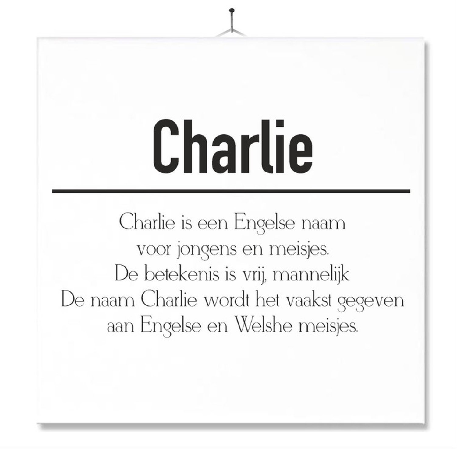 MC Living Tegel Met Opdruk | Betekenis | Kado | Cadeau | Met Naam - Charlie Multi-Color