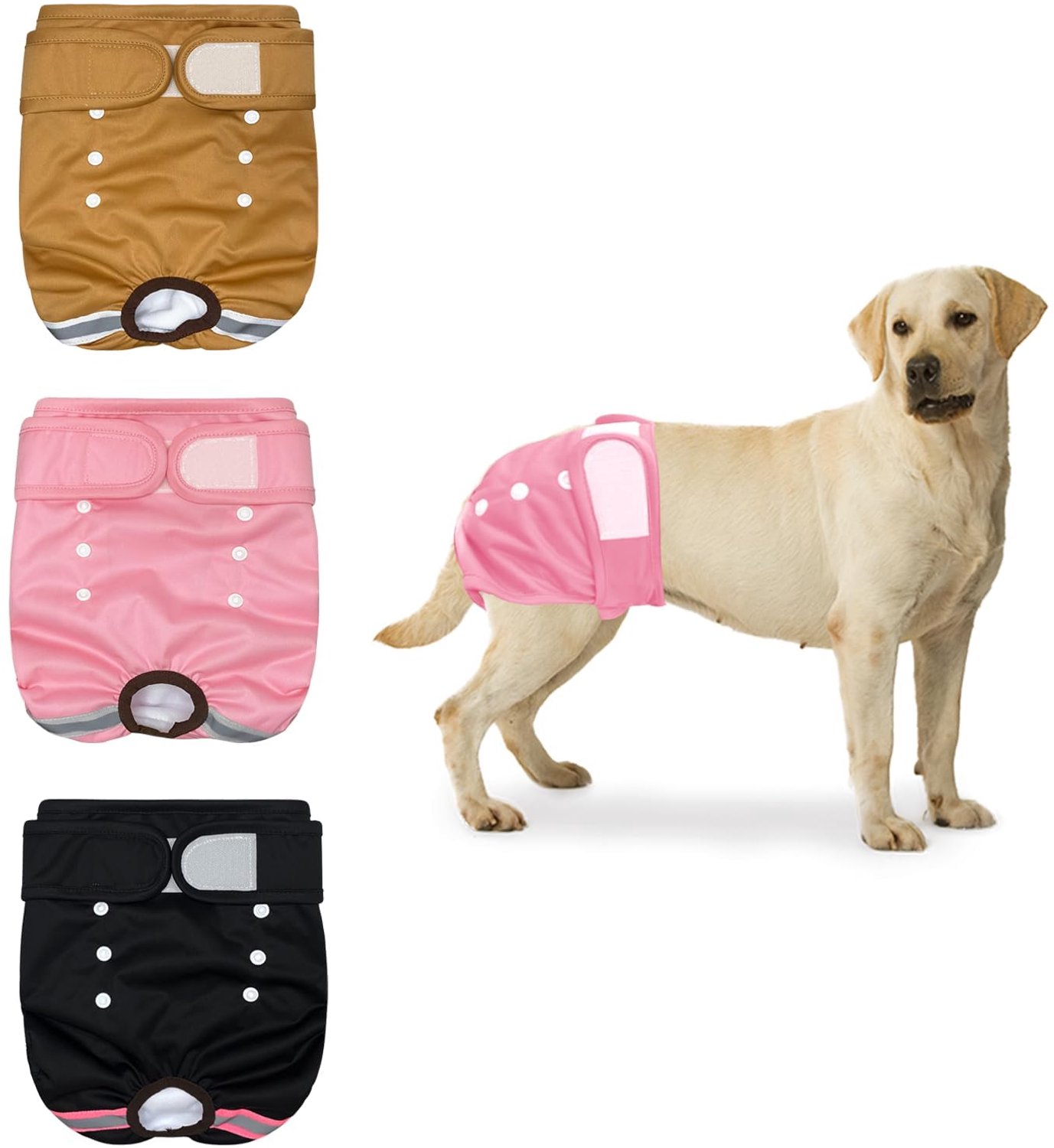 Set van 3 Herbruikbare Hondendiaapers voor Honden met Incontinentie