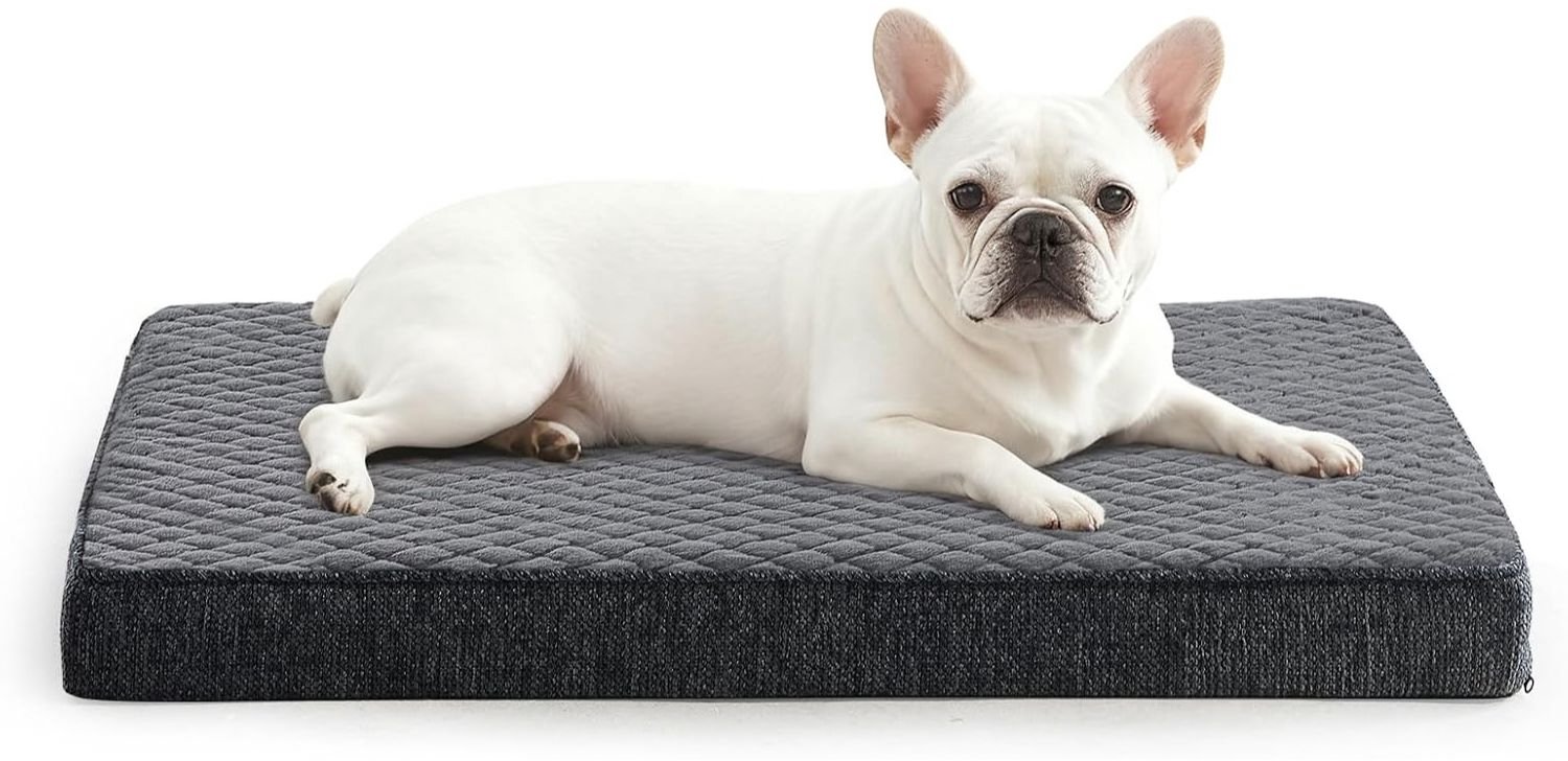 Honden kussen - Hondenmat - Rusten - Orthopedisch schuim - 61x43x9 cm - Donkergrijs