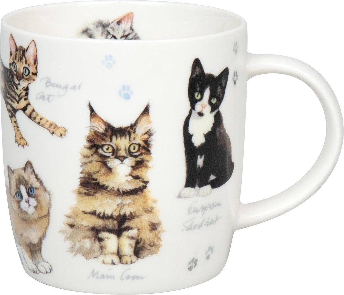 Mok natures diversity katten