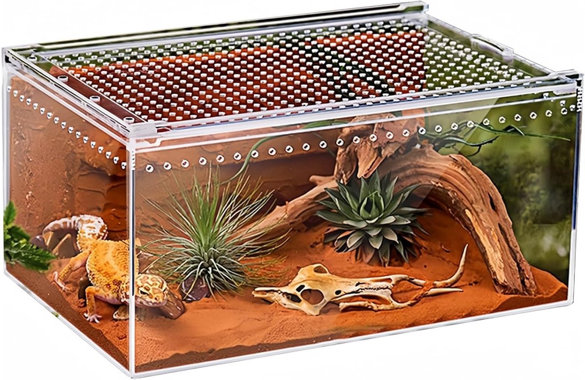 Terrariumbox, magnetische acryl krekelbox, terrarium, stapelbare reptielvoederbox voor spinnen, schorpioen, kever, hoornkikker