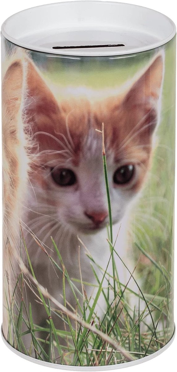 Spaarpot voor kinderen, puppy's, honden en katten. Originele spaarpot gemaakt van blik met deksel. Goedkope spaarpot voor kinderen. Kan ook worden gebruikt als pendoos. (Witte katjes)