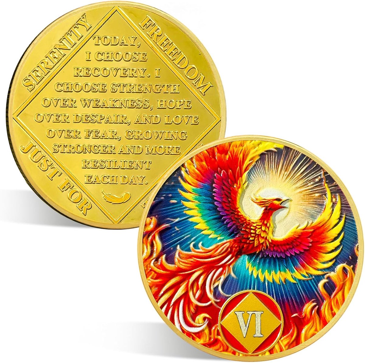 6 Jaar NA Medaillon – Wedergeboorte Phoenix Nuchterheid Chip AA NA Munten en Medaillons Bij Ontwaken Herstel Verslaving Nuchtere Token Bevestiging Narcotics Anonymous Geschenken