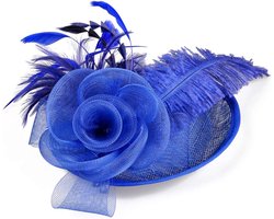 Haarsieraad voor dames, van mesh, veren, pilbox, hoed, elegant, netsluier, vintage hoofddeksel, bloemen, hoofdband voor carnaval, thee, party, cocktail en cosplay