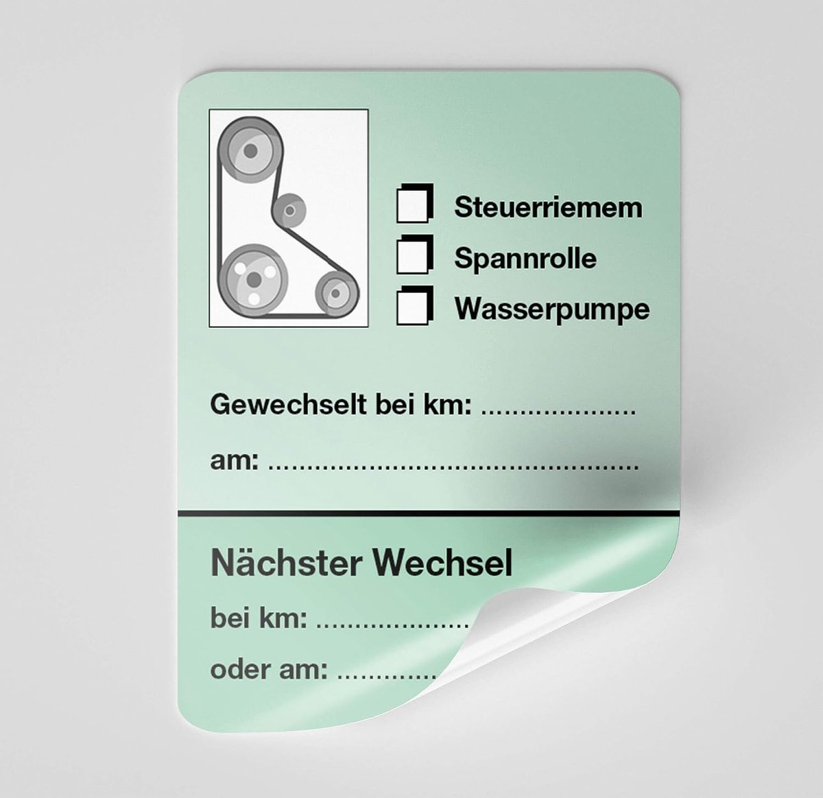 Tandriem-stickers groen 50 stuks blanco