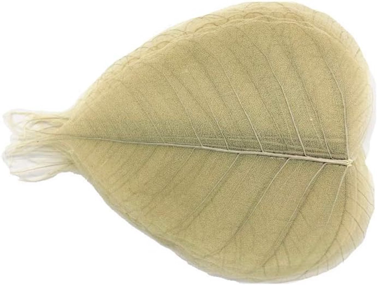 100 stks Gemengde Kleur Vlinder Vormen Knoppen Lot voor Ambachten Naaien Decoraties, 2 Gaten