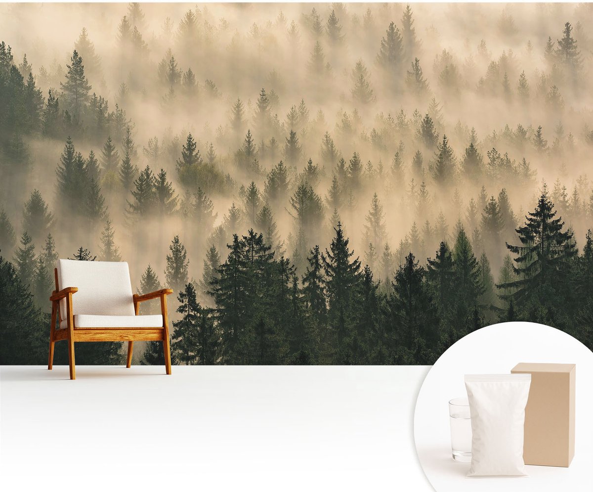 Wallfluent Fotobehang - Grijs Vliesbehang - 416x254 cm - Bosmist Fotobehang Vlies - Woonkamer behang Landschappen - Muurschildering - Woonkamer behang