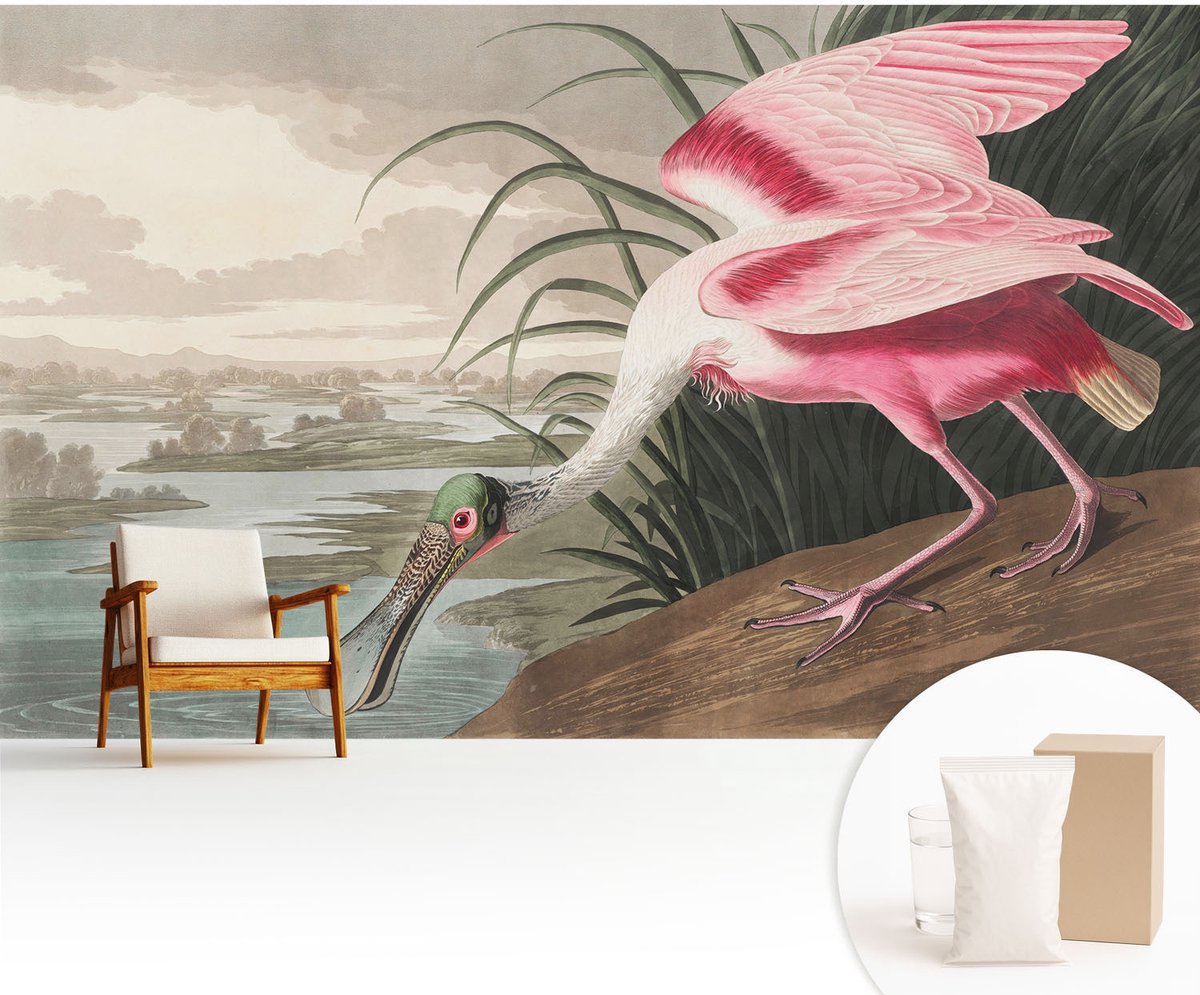 Wallfluent Fotobehang - Grijs Vliesbehang - 416x254 cm - Exotische Vogel Muurschildering - Gang behang Dieren - Fotobehang Vlies - Gang behang