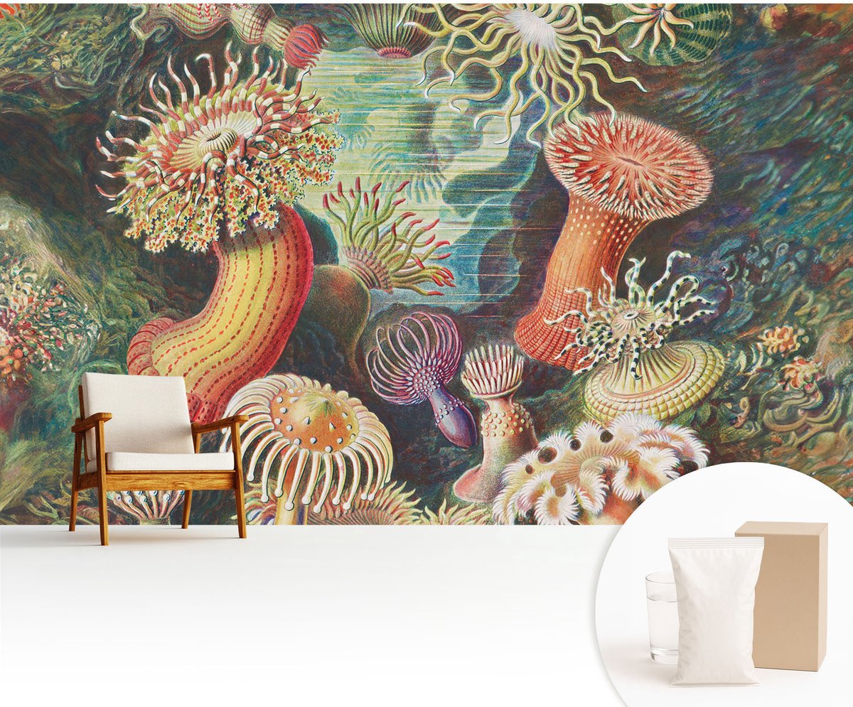 Wallfluent Fotobehang - Groente Vliesbehang - 416x254 cm - Sierlijke Zeeanemonen Fotobehang Vlies - Hal behang Deel - Muurschildering - Woonkamer behang